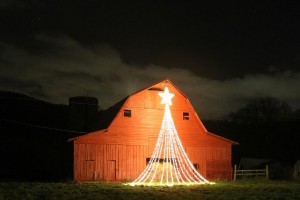 WNC Christmas Tree Farm