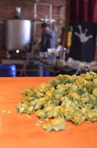 HOPS from H&K Farms Hop Yard