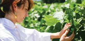 Chef Jessica DeMarco of Copper Pot & Wooden Spoon visiting the Ten Acre Garden for farm fresh produce